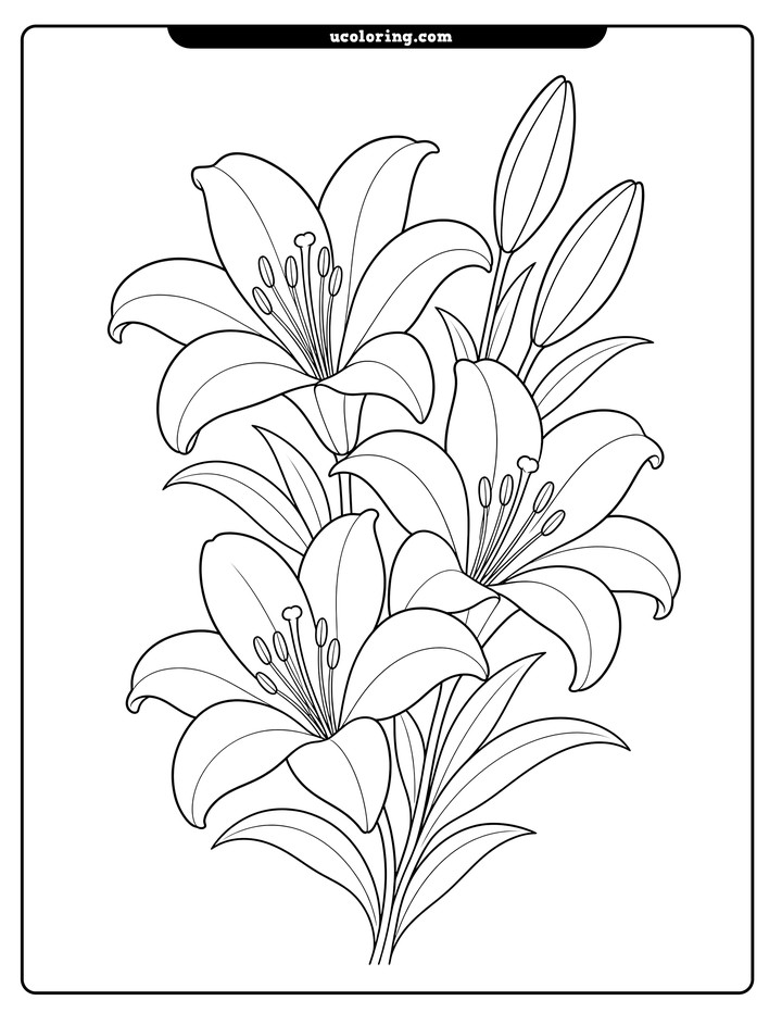 Three open Easter lilies with leaves and two unopened buds in clean black line art coloring page