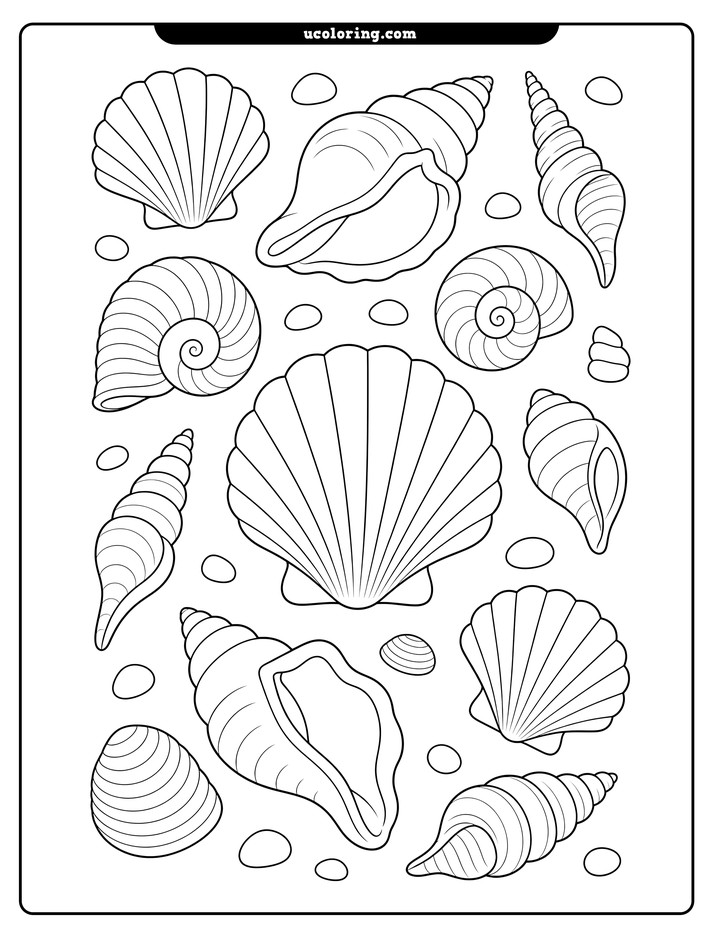 Scattered scallop, conch, and whelk shells in bold hand-drawn line art on a white coloring page