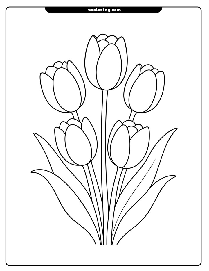 Five tulips with slender stems and curved leaves in a centered bouquet coloring page